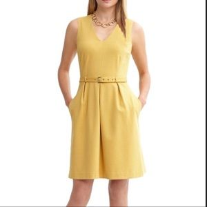 Banana Republic petite pointe dress